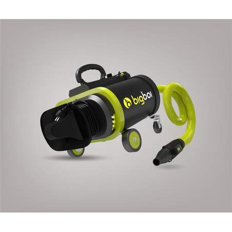 BigBoi BlowR PRO+ MKII