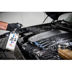 Shiny Garage All Around APC 1L