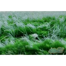 Microfiber Madness Scrub-A-Round Pad