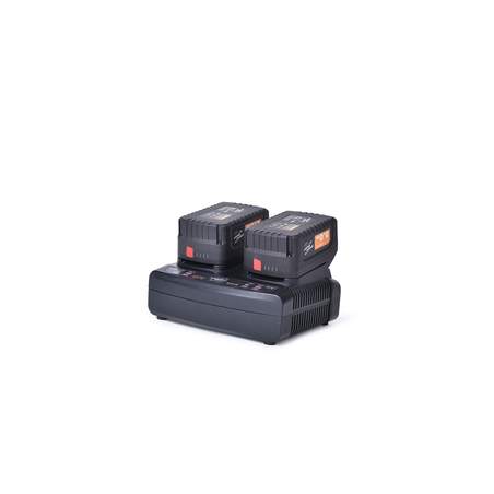 ShineMate BC182 Dual Rapid Charger