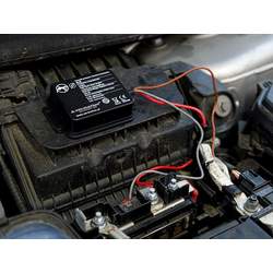 Carmotion Car Rodent Repellent 12V