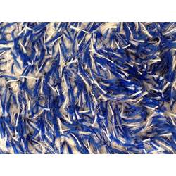 Microfiber Madness Incredisponge