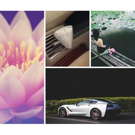 K2 Diamo Osvežilec Lotus